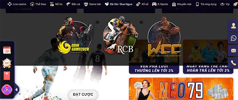Các trận đá gà hay đua ngựa tại NEO79 sôi động và hấp dẫn